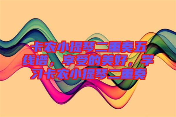 卡農(nóng)小提琴二重奏五線譜，享受的美好，學習卡農(nóng)小提琴二重奏