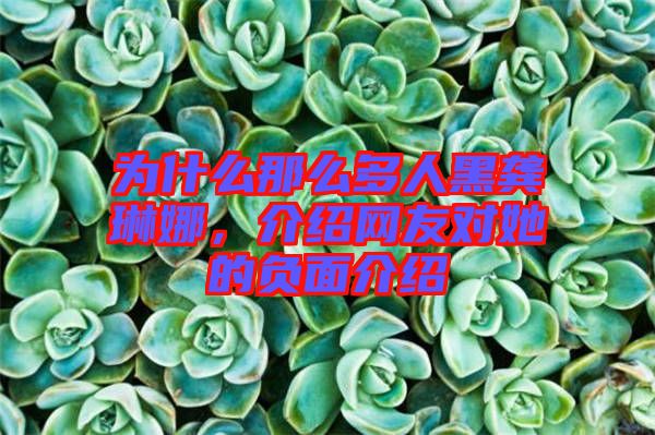 為什么那么多人黑龔琳娜，介紹網(wǎng)友對(duì)她的負(fù)面介紹