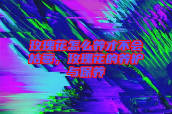 玫瑰花怎么養(yǎng)才不會枯萎，玫瑰花的養(yǎng)護(hù)與保養(yǎng)