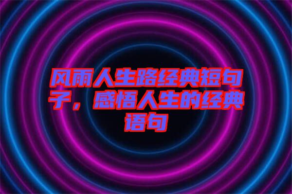 風雨人生路經(jīng)典短句子，感悟人生的經(jīng)典語句