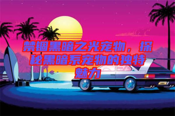 禁錮黑暗之光寵物，探秘黑暗系寵物的獨特魅力