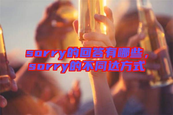 sorry的回答有哪些，sorry的不同達方式