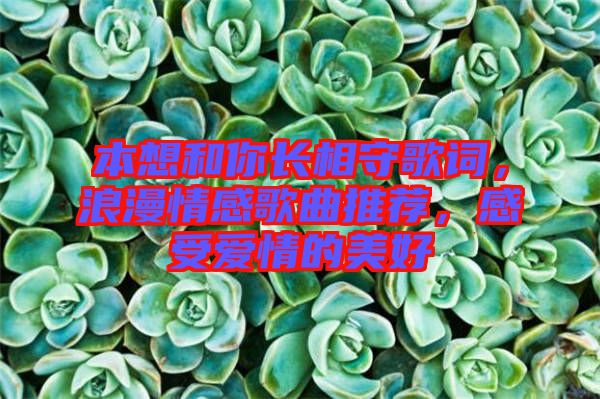 本想和你長(zhǎng)相守歌詞，浪漫情感歌曲推薦，感受愛(ài)情的美好