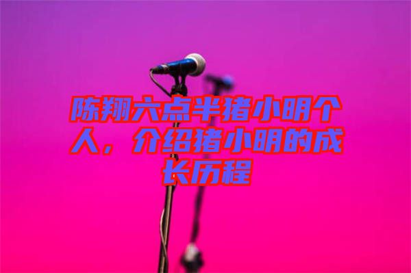 陳翔六點半豬小明個人，介紹豬小明的成長歷程