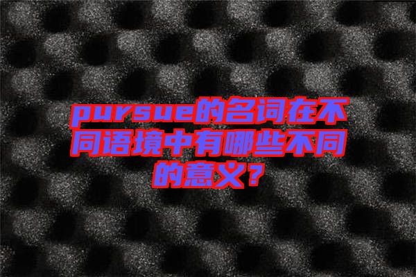 pursue的名詞在不同語(yǔ)境中有哪些不同的意義？