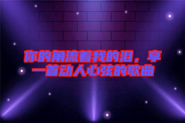 你的角流著我的淚，享一首動人心弦的歌曲