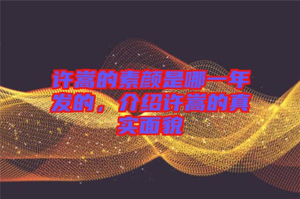許嵩的素顏是哪一年發(fā)的，介紹許嵩的真實(shí)面貌