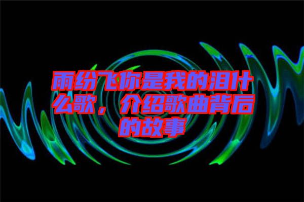 雨紛飛你是我的淚什么歌，介紹歌曲背后的故事