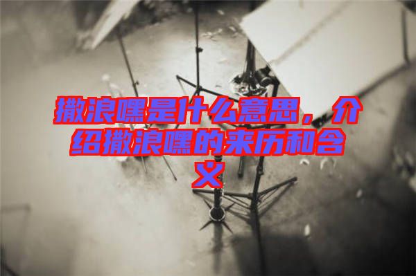 撒浪嘿是什么意思，介紹撒浪嘿的來歷和含義