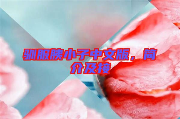 馴服胰小子中文版，簡介及接