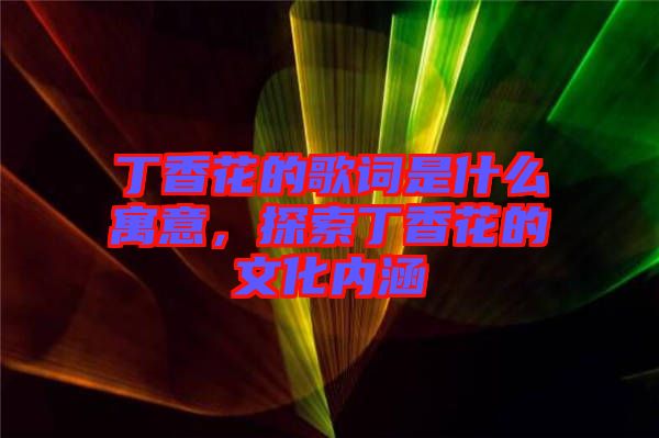 丁香花的歌詞是什么寓意，探索丁香花的文化內(nèi)涵