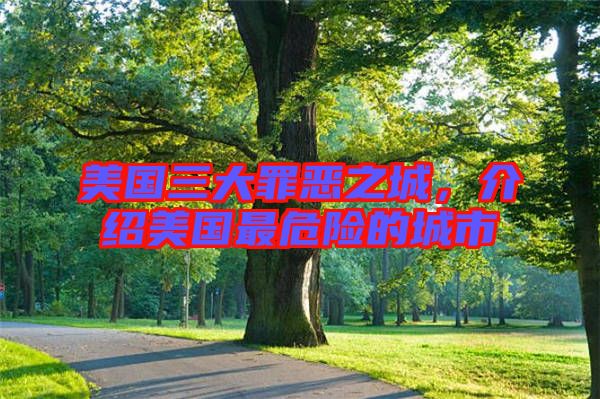 美國(guó)三大罪惡之城，介紹美國(guó)最危險(xiǎn)的城市