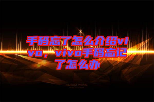 手碼忘了怎么介紹vivo，vivo手碼忘記了怎么辦