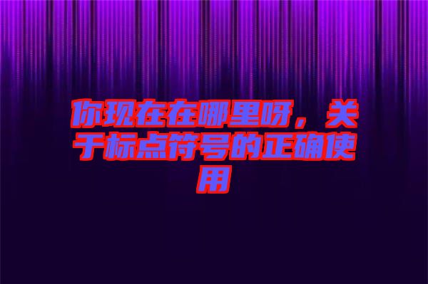 你現(xiàn)在在哪里呀，關(guān)于標點符號的正確使用