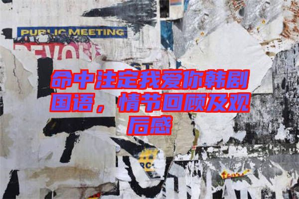 命中注定我愛你韓劇國語，情節(jié)回顧及觀后感