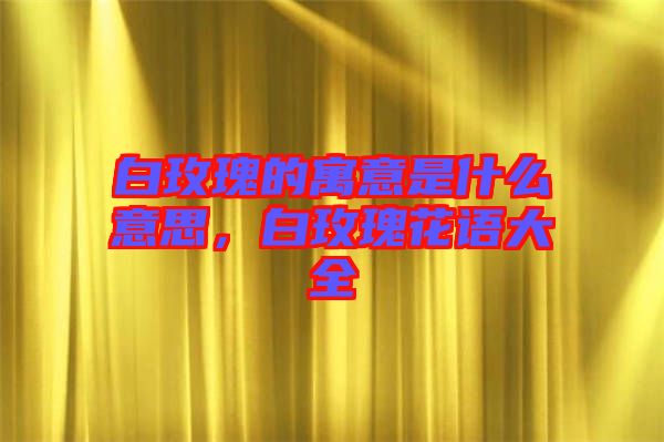 白玫瑰的寓意是什么意思，白玫瑰花語大全