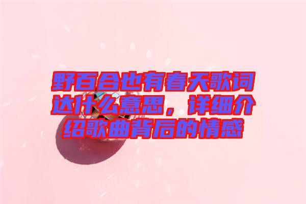 野百合也有春天歌詞達什么意思，詳細介紹歌曲背后的情感