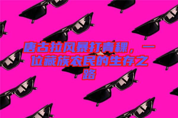 唐古拉風(fēng)暴打青稞，一位藏族農(nóng)民的生存之路