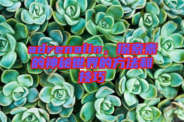 adrenalin，探索素的神秘世界的方法和技巧