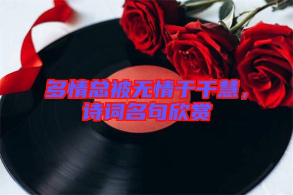 多情總被無情于千慧，詩詞名句欣賞