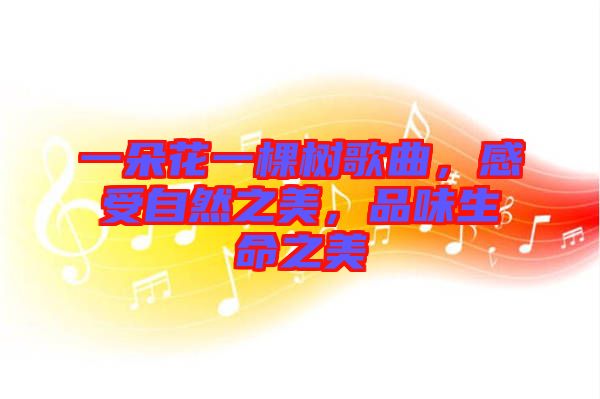 一朵花一棵樹歌曲，感受自然之美，品味生命之美