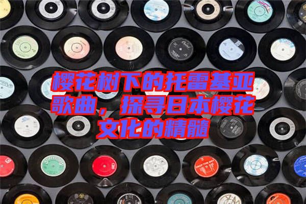 櫻花樹下的托雷基亞歌曲，探尋日本櫻花文化的精髓
