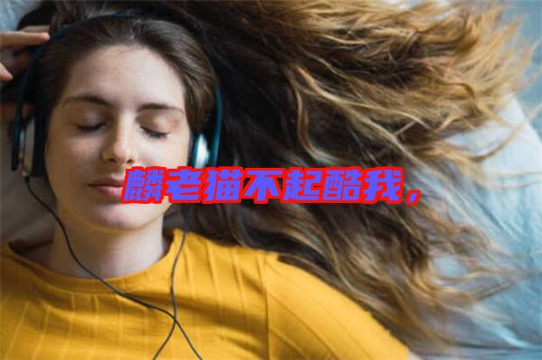 麟老貓不起酷我，