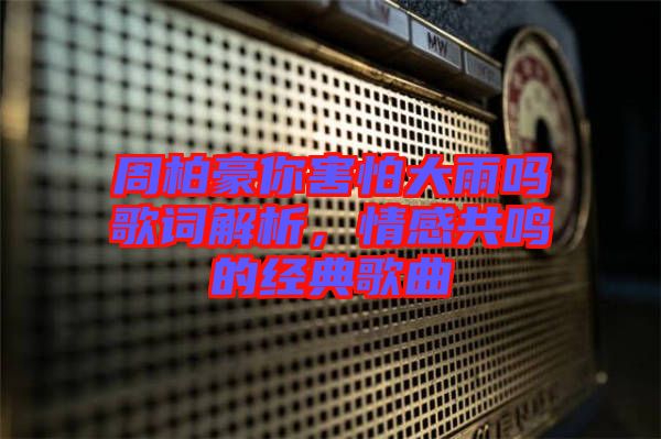 周柏豪你害怕大雨嗎歌詞解析，情感共鳴的經(jīng)典歌曲