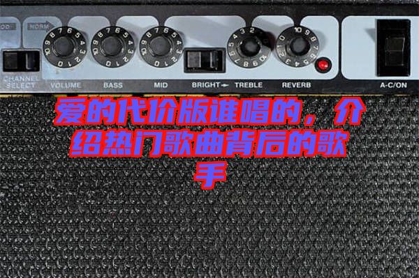 愛的代價(jià)版誰唱的，介紹熱門歌曲背后的歌手