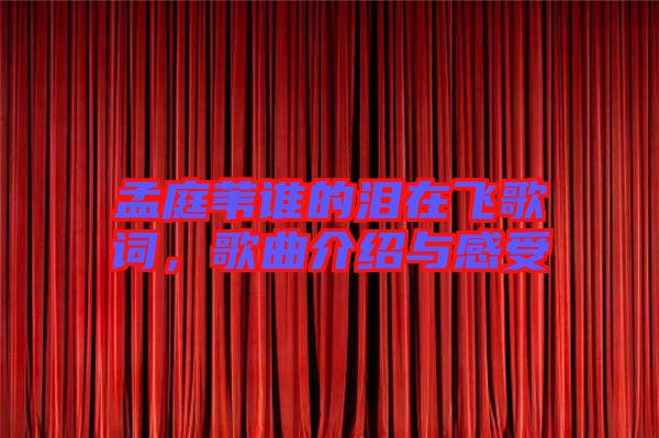 孟庭葦誰(shuí)的淚在飛歌詞，歌曲介紹與感受