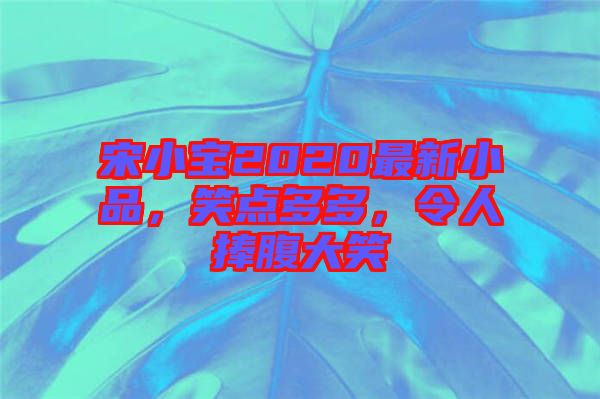宋小寶2020最新小品，笑點(diǎn)多多，令人捧腹大笑