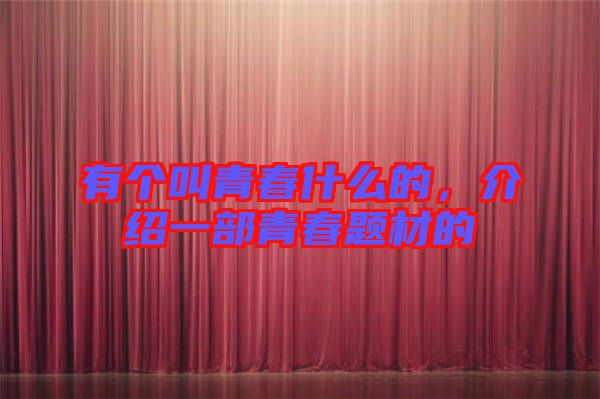 有個(gè)叫青春什么的，介紹一部青春題材的