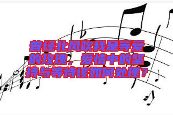 曾經(jīng)北風(fēng)吹我是等愛的玫瑰，愛情中的堅(jiān)持與等待該如何處理？