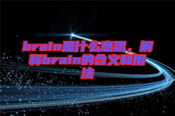 brain是什么意思，解釋brain的含義和用法