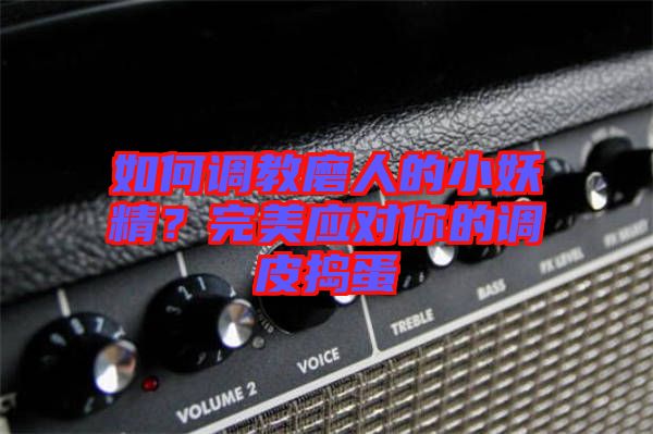 如何調(diào)教磨人的小妖精？完美應(yīng)對(duì)你的調(diào)皮搗蛋