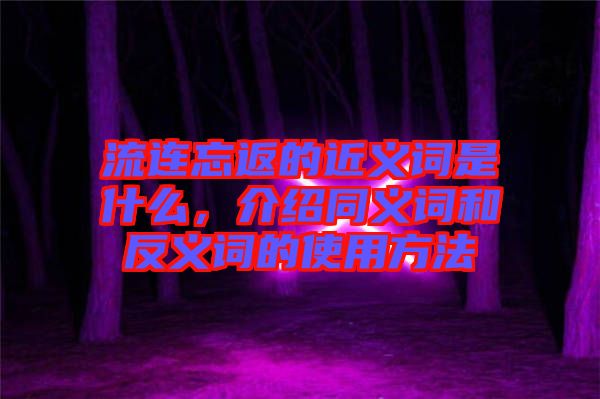 流連忘返的近義詞是什么，介紹同義詞和反義詞的使用方法