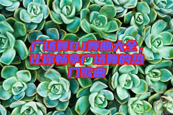 廣場舞DJ舞曲大全，讓你暢享廣場舞的熱門歌曲