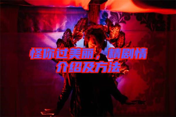 怪你過美麗，精劇情介紹及方法