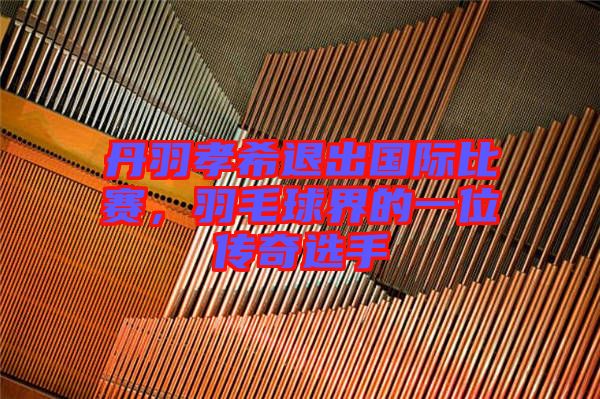 丹羽孝希退出國(guó)際比賽，羽毛球界的一位傳奇選手