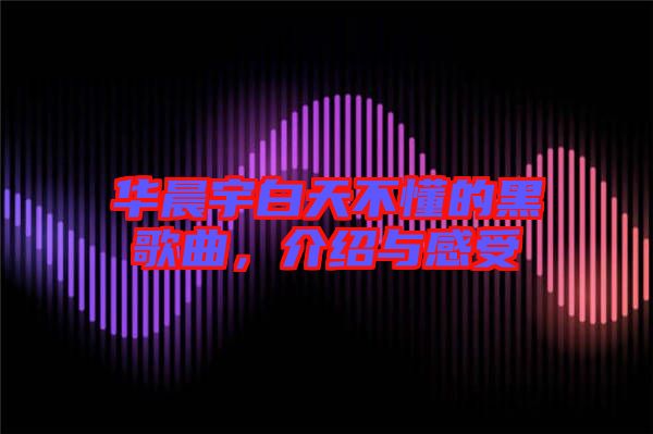 華晨宇白天不懂的黑歌曲，介紹與感受