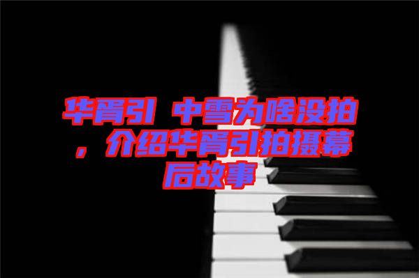 華胥引柸中雪為啥沒(méi)拍，介紹華胥引拍攝幕后故事