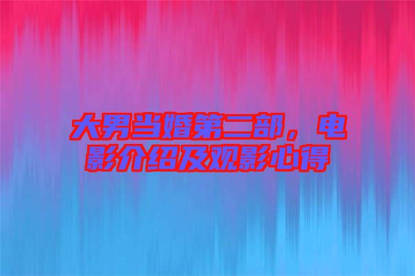 大男當(dāng)婚第二部，電影介紹及觀影心得