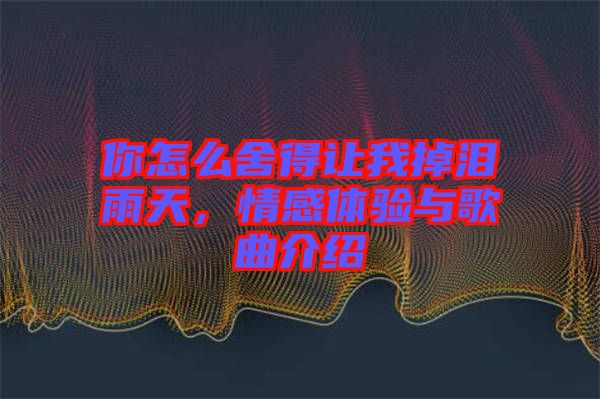 你怎么舍得讓我掉淚雨天，情感體驗與歌曲介紹