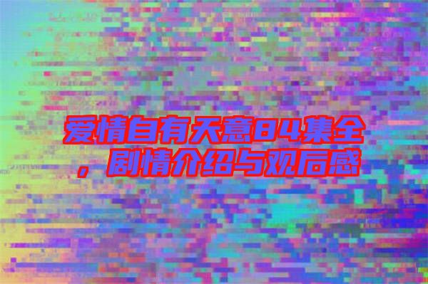 愛(ài)情自有天意84集全，劇情介紹與觀后感