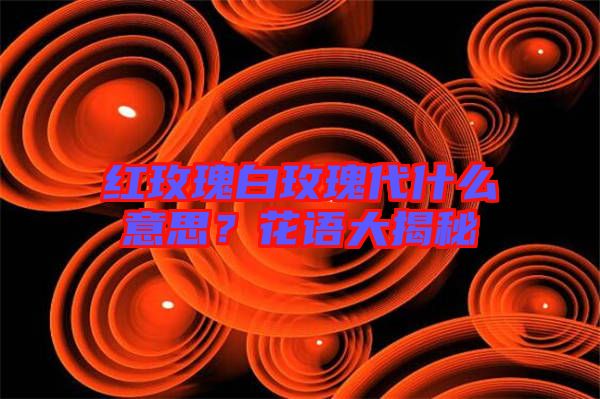 紅玫瑰白玫瑰代什么意思？花語大揭秘