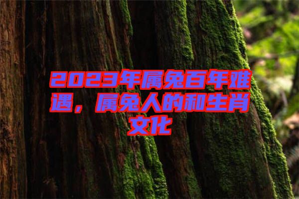 2023年屬兔百年難遇，屬兔人的和生肖文化
