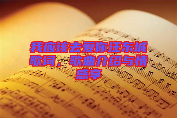 我應(yīng)該去愛(ài)你汪東城歌詞，歌曲介紹與情感享