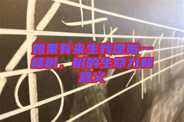 如果有來生我愿做一棵樹，樹的生命力和意義
