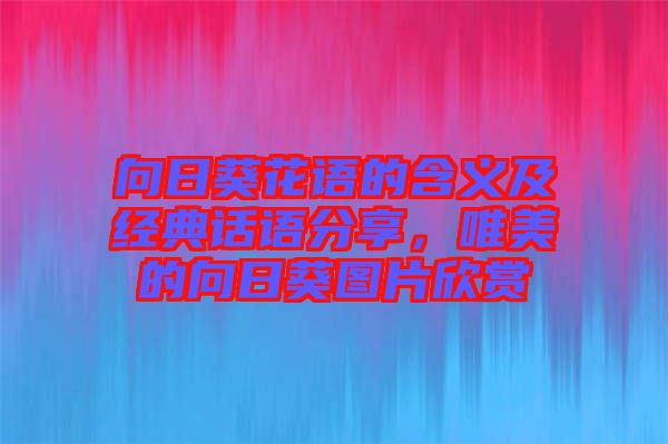 向日葵花語(yǔ)的含義及經(jīng)典話語(yǔ)分享，唯美的向日葵圖片欣賞