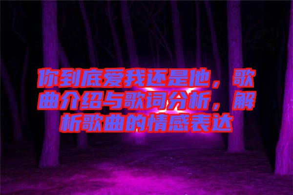 你到底愛我還是他，歌曲介紹與歌詞分析，解析歌曲的情感表達